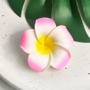 매화상회 이미지