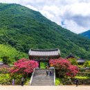 표충사 - 1903 | 표충사