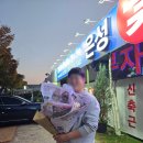 은성화원 | 헤어 장식, 생화 소품 준비 인천 은성꽃도매상가 내돈내산 후기 촬영용 생화 구매 팁 (feat. 마켓컬리...