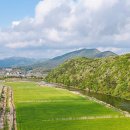 웅천읍 노천리534-1 이미지