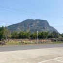 산방산식당 이미지