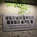 김해-한림-5-비상-1 | 김해 - 레일바이크와 와인 터널