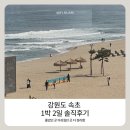 속초 1박2일 후기 카시아호텔부터 치커리생구이까지 솔직 리얼 후기임