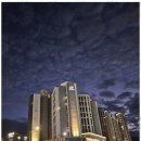 타워부동산