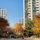 초림 어린이공원 이미지