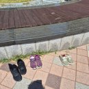씨사이드파크카페테리아화장실 | [영종도 가볼만한 곳] 씨사이드파크 해수족욕장 후기 | 부모님 모시고 다녀오기 좋은 힐링코스