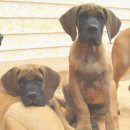 정기농장 이미지