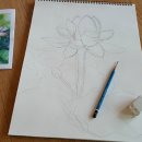 그리다: 수채화 교실 이미지