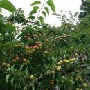 동호농장 이미지