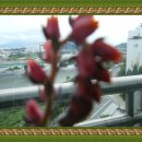 보람의 집 이미지