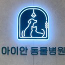 아이안 동물의료센터 이미지
