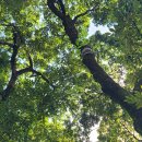 초장동5 이미지