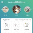 펫마인드 이미지