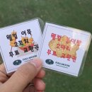 가평모닝필하우스 | [가평] 가평 가족글램핑장 추천! <가평 풀문캠핑앤글램핑리조트> 킹하우스5 (2가족실) 솔직 후기!