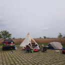 오시나래 이미지