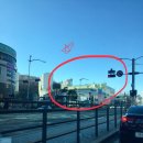 강서 월드 체육관 이미지