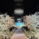 다이너스티 웨딩뷔페 | 공유] 서울 어두운 예식장 ‘영등포 더컨벤션 | 다이너스티홀’ 상담 후기｜주차·뷔페·식대·어두운 웨딩