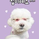 파리바게뜨월성