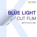 YC인터내셔날 이미지