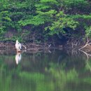 내리저수지 이미지