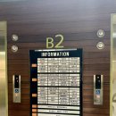 블랙스완속눈썹&눈썹부천점 이미지