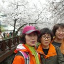 로망스 이미지