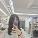 대전 도안동 그헤어 레이어드컷 1년 후기(땅콩형 얼굴)