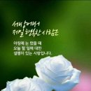행복 이미지