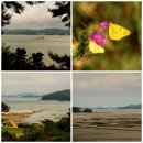 도성1리 마을회관 이미지