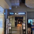미디어스코프(주) 싱잇박스 | 메가박스 대전 신세계 돌비시네마 F1 더 무비 후기, 대전 돌비시네마(대돌비) 명당 자리 추천