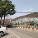 금오산 노루귀산행 늦은 후기 25.03.24