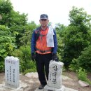 진화목장 이미지