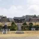 노란거북이 이미지