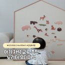 자석농장 | 감성과 학습을 동시에! 노리터보드 우디 자석교구 사용후기