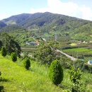 바선