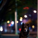 기다리다 이미지