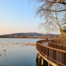 보통리 저수지 2 이미지