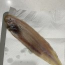 금강건어물 이미지