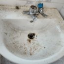 합천터미널화장실 이미지