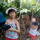 외할머니집 이미지