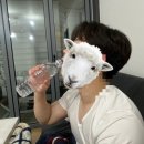 루나에덴