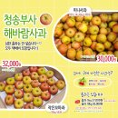 재분농장 | | 청송꿀사과 농장 직거래 | 사과즙 다시 짰어요 &amp; 월요일 택배 일상