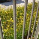 대진빌라 이미지