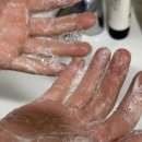 이기영 | 천연치약 이기영천년초 찐사용후기