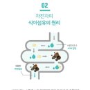 트윈스킨 이미지