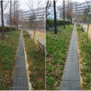 전주대학교사범대학부설고등학교 이미지