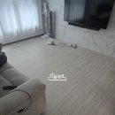 코아루 애견 이미지