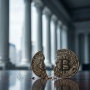 프리테라 이미지