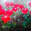 덕림농장 이미지