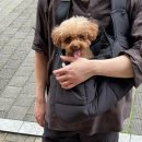 달천 | 10월 일상_추석연휴 청주편 (달천펜션 102동 후기 포함)